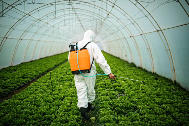 Best Affordable Pest Control Services  in Grand Ronde, OR
