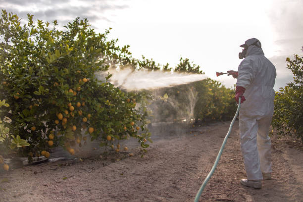 Best Pest Prevention Services  in Grand Ronde, OR