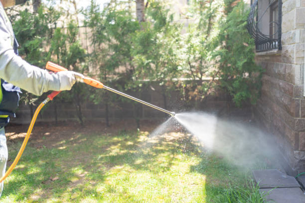 Flea Control Services in Grand Ronde, OR