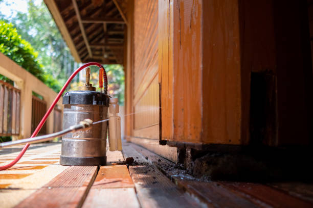 Best Termite Control Services  in Grand Ronde, OR