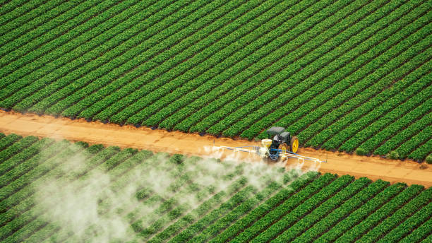 Best Mosquito Control Services  in Grand Ronde, OR