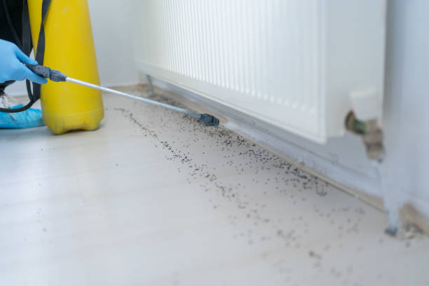 Best Pest Inspection Near Me  in Grand Ronde, OR