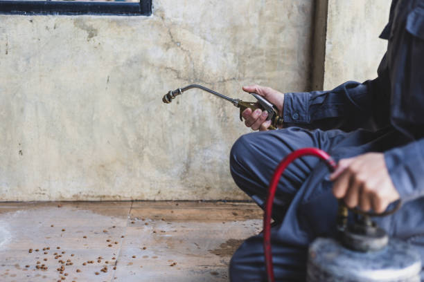 Best Best Pest Control Companies  in Grand Ronde, OR