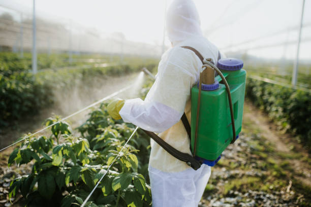Best Insect Control  in Grand Ronde, OR